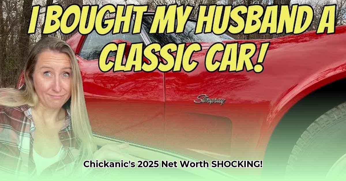 chickanic-net-worth